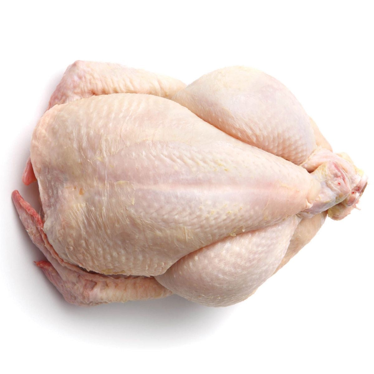 Broiler Full Frozen Chicken