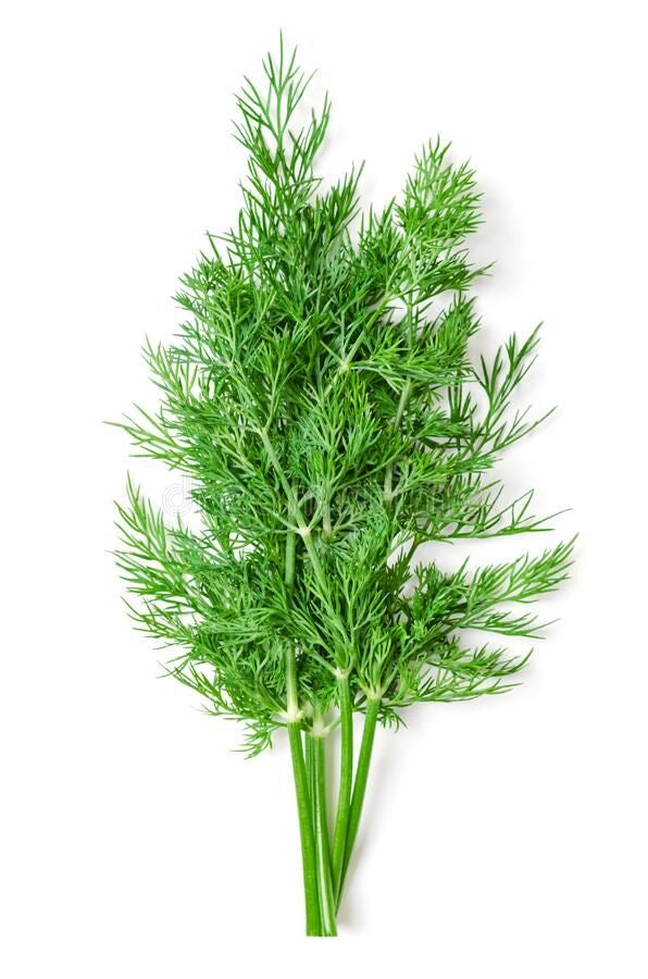 Fresh Dill 1Kg
