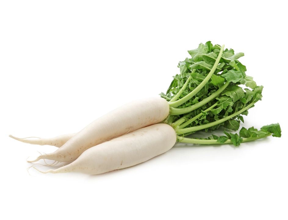 White Radish