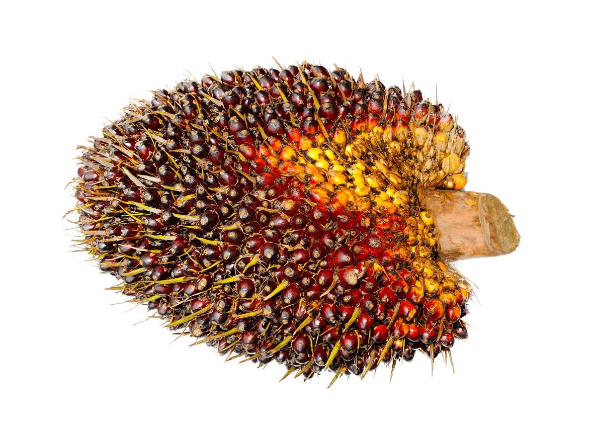 Palm Nut (Agric 1/2 + Local 1/2) Olonka