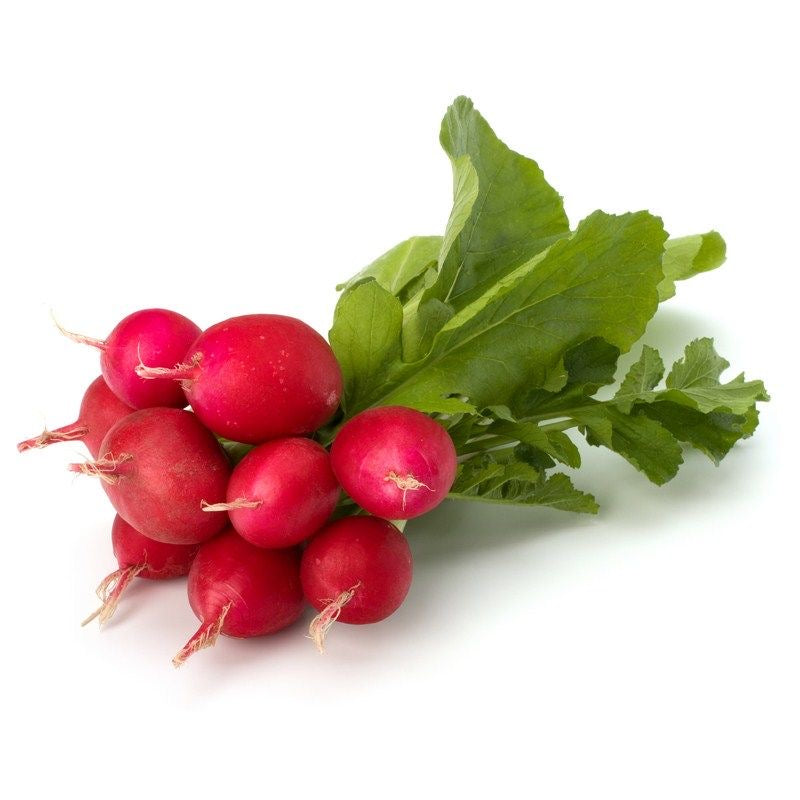 Red Radish
