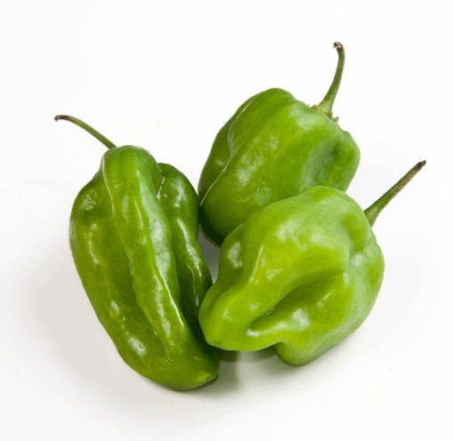 Scotch Bonnet (Kpakpo Shito) 1Kg