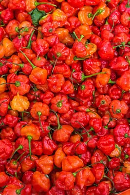 Red Scotch B	onnet 1Kg