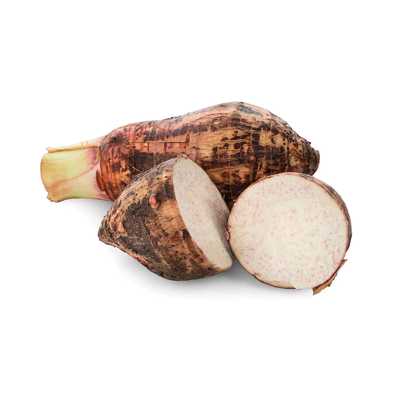 Coco Yam (Taro)