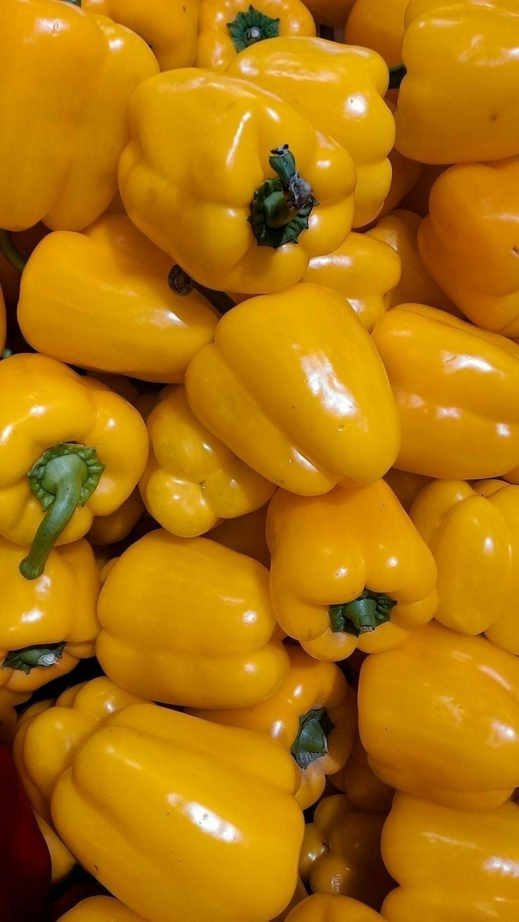 Yellow Bell Pepper (Sweet Pepper) 1pc
