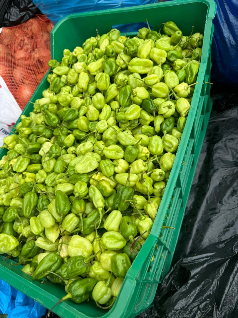 Scotch Bonnet (Kpakpo Shito) 1Kg