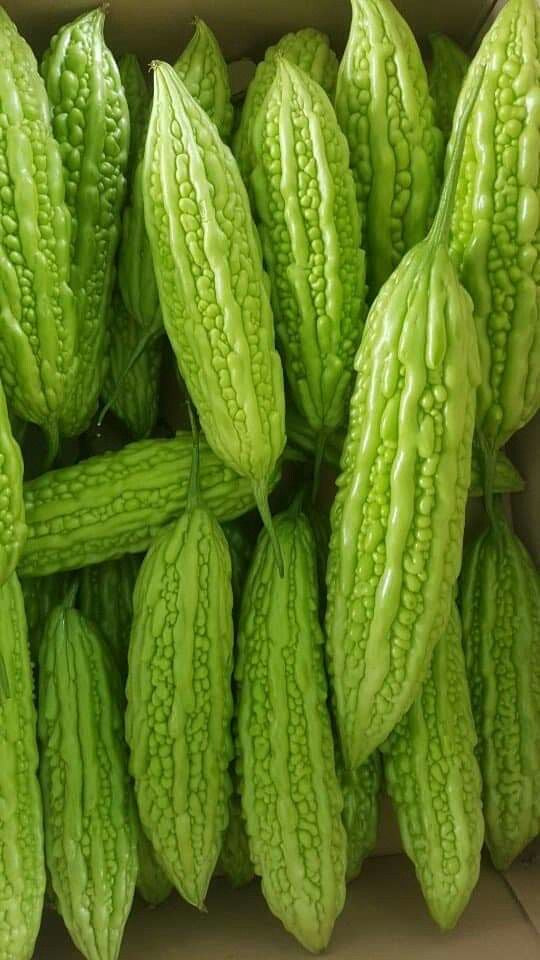 Bitter Melon/ Gourd (Nyanya)