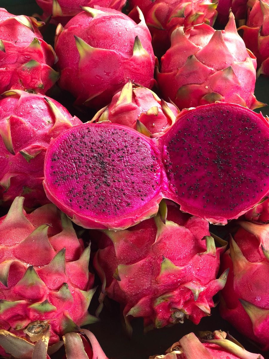 Dragon Fruit