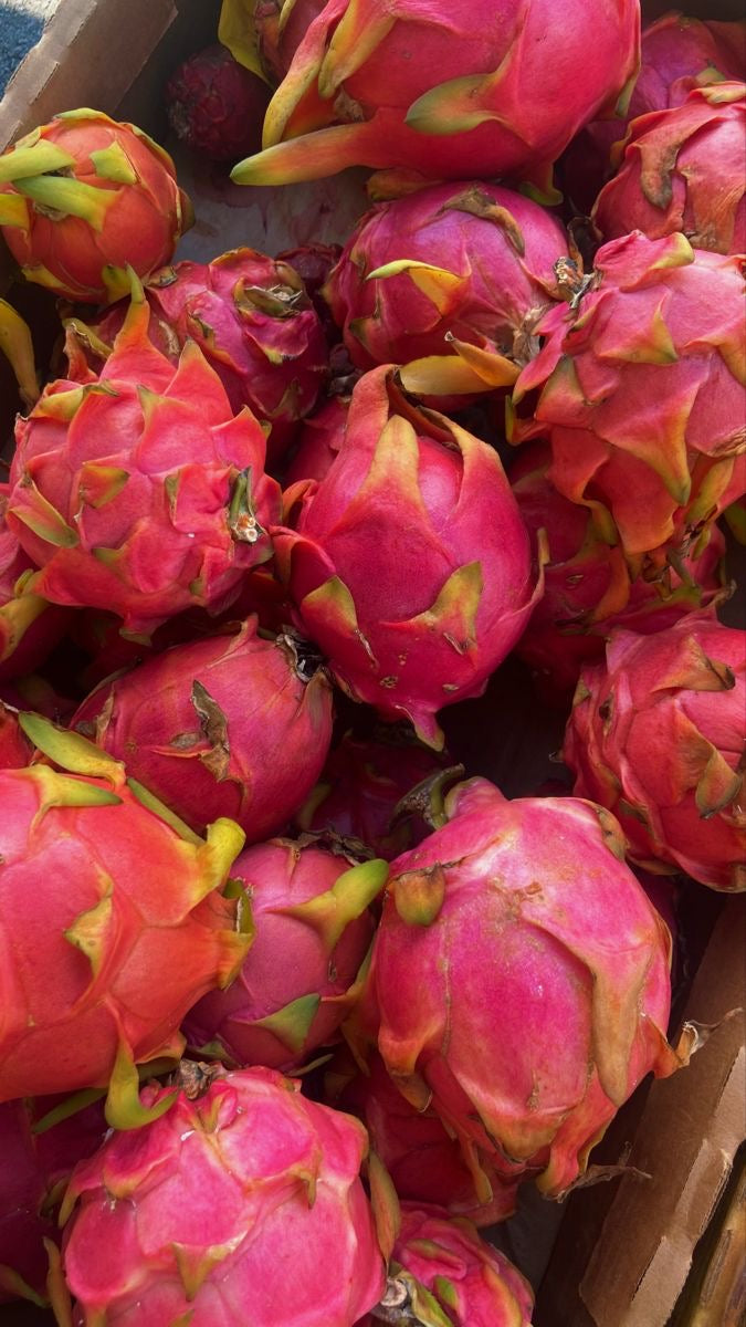 Dragon Fruit 500g