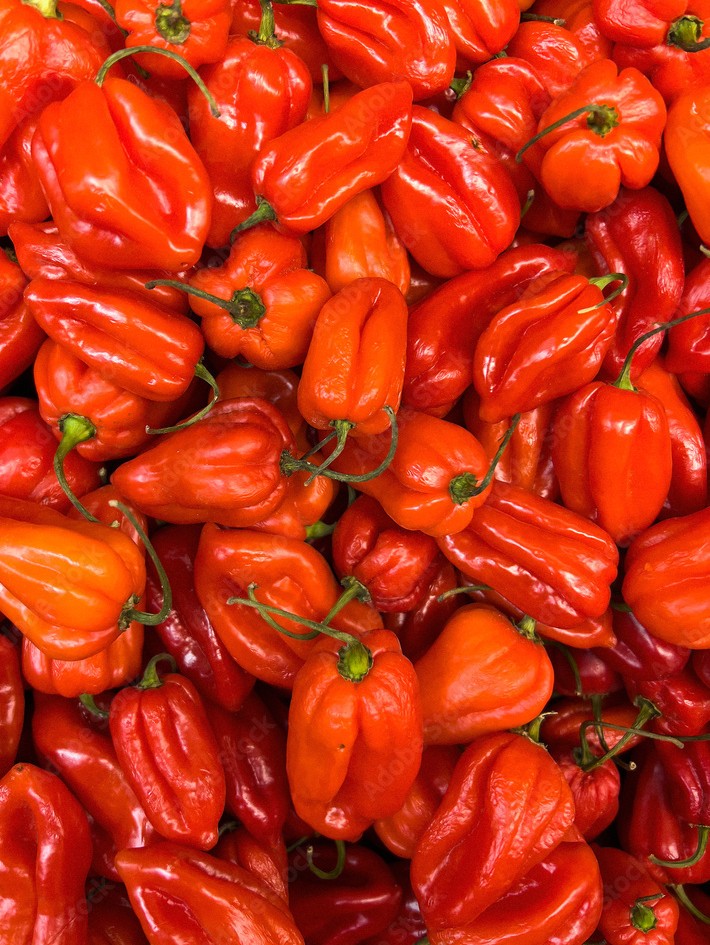 Red Habanero Pepper 1Kg