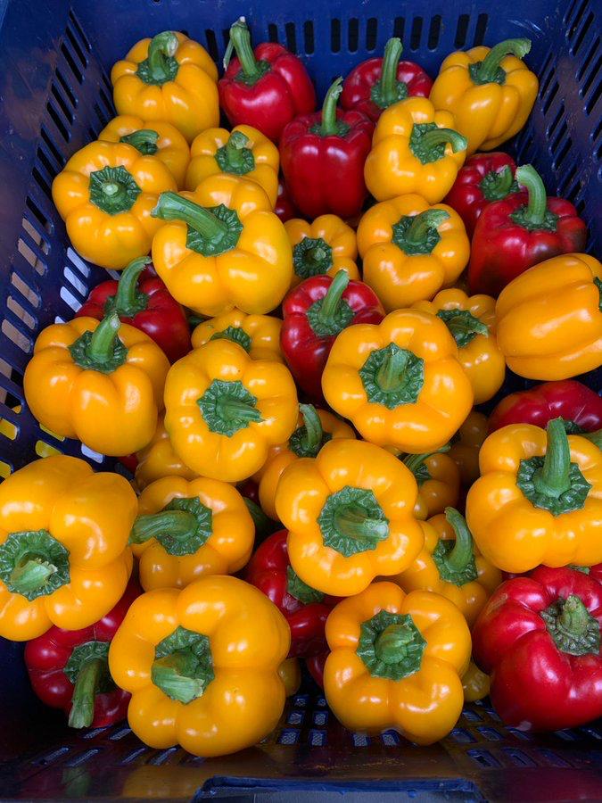 Mixed Bell Pepper 1kg